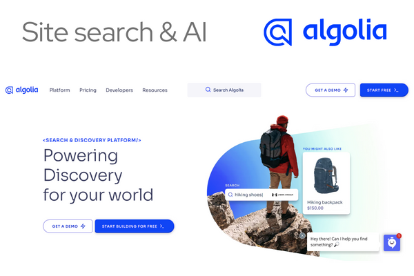 Site search and AI 